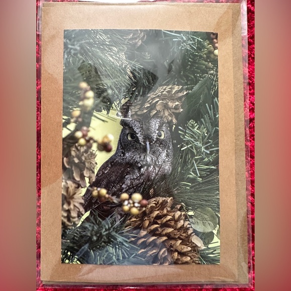 Handcrafted Holiday Photo Greeting Card - Screech Owl in Wreath - Picture 1 of 3